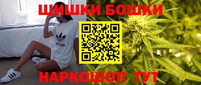молекула духа Пугачёв