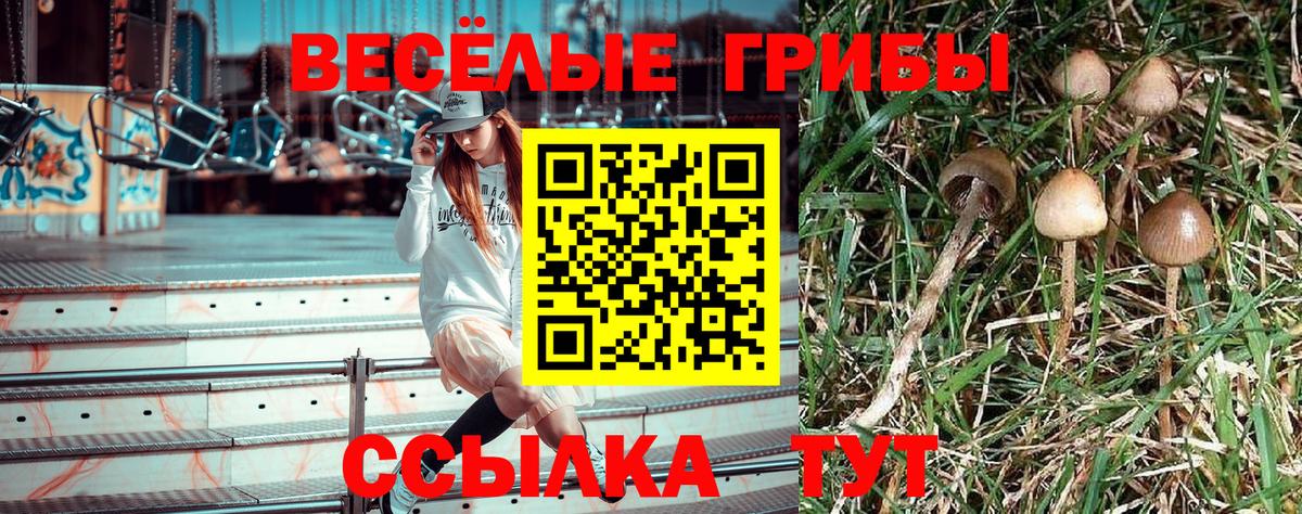 Нягань  Псилоцибиновые грибы ЛСД  Вход с VPN 